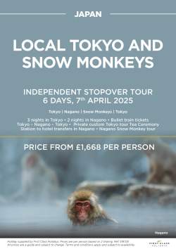 Local Tokyo and Snow Monkeys April 2025 