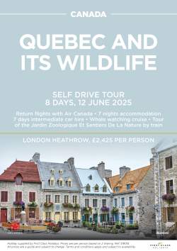 Quebec and It's Wildlife June 2025 