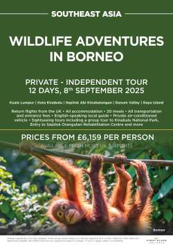 Wildlife adventures in Borneo September 2025 