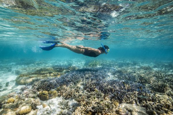 Great Barrier Reef