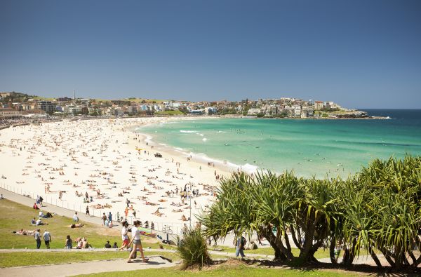 Bondi Beach