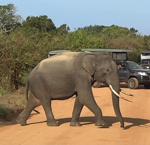 Sri Lanka