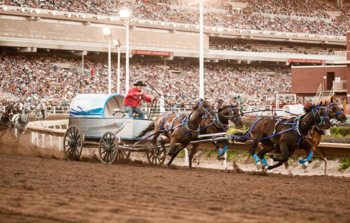 Calgary Stampede Package | Canada | First Class Holidays