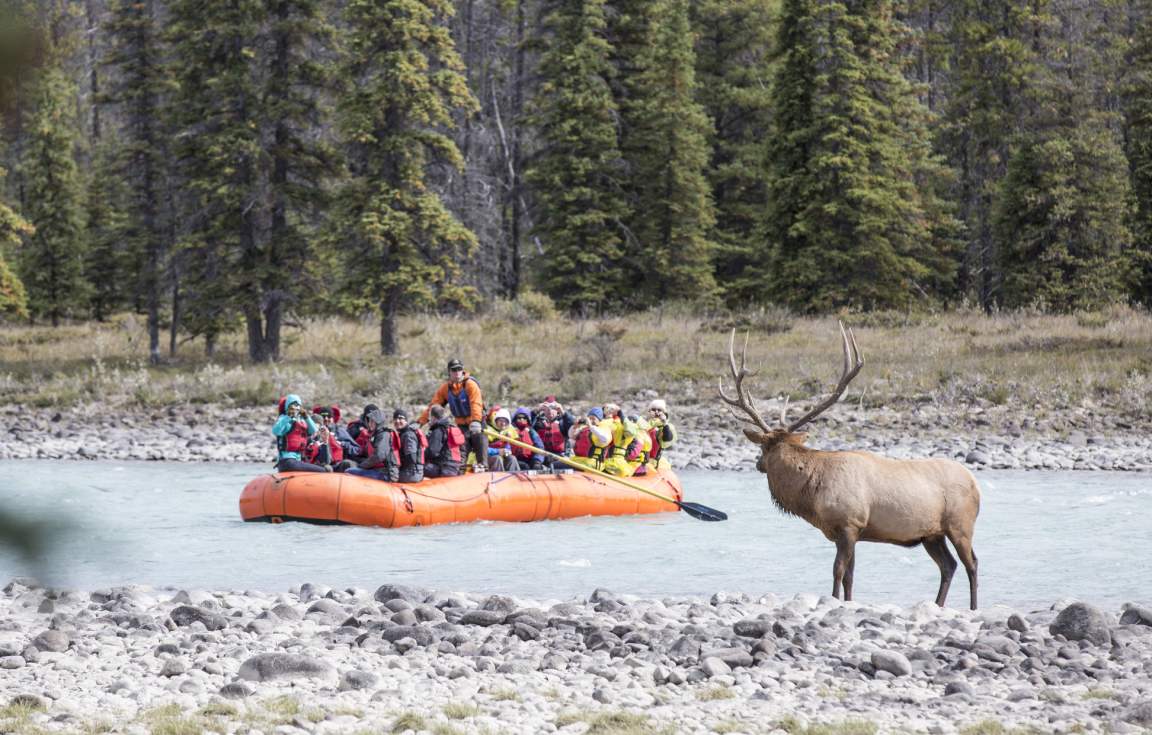 Rocky Mountaineer JTC