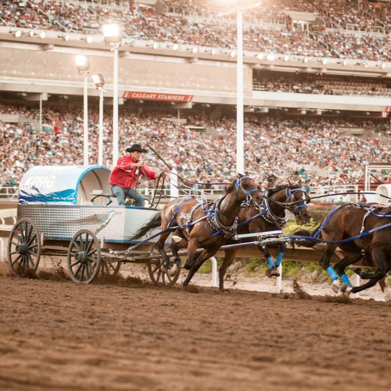 Calgary Stampede Package Canada First Class Holidays