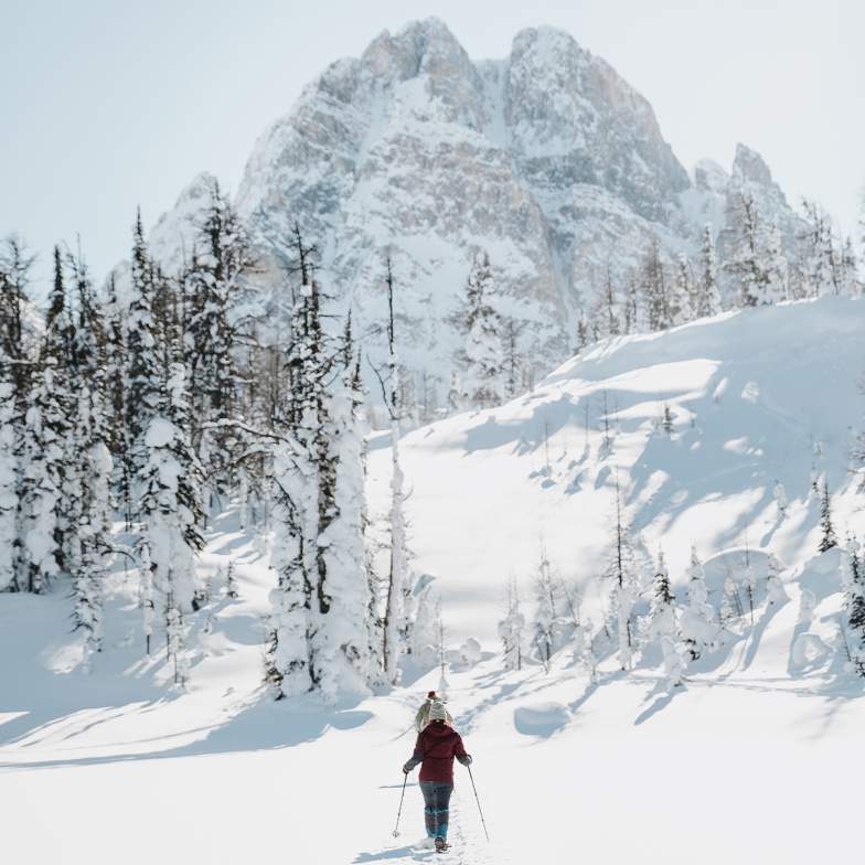 Rockies Winter Premium, Winter Wonderland