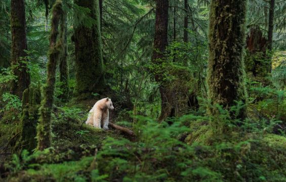 British Columbia