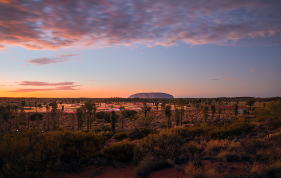 Uluru Field of Light 