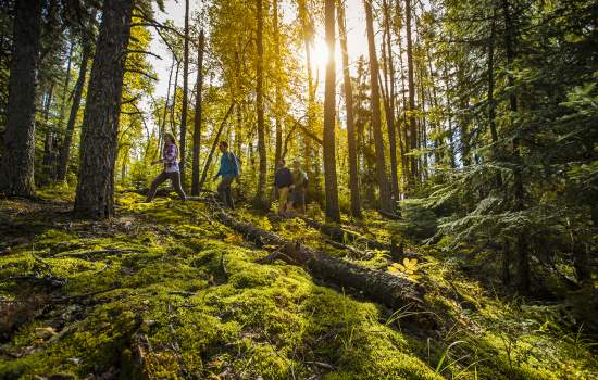 Prince Albert National Park_Hiking_Credit_ Tourism Saskatchewan _ Greg Huszar Photography.jpg